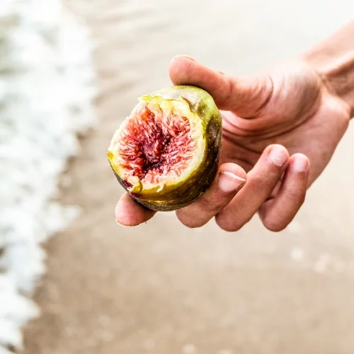 Αύγουστος | Φρούτα και λαχανικά εποχής