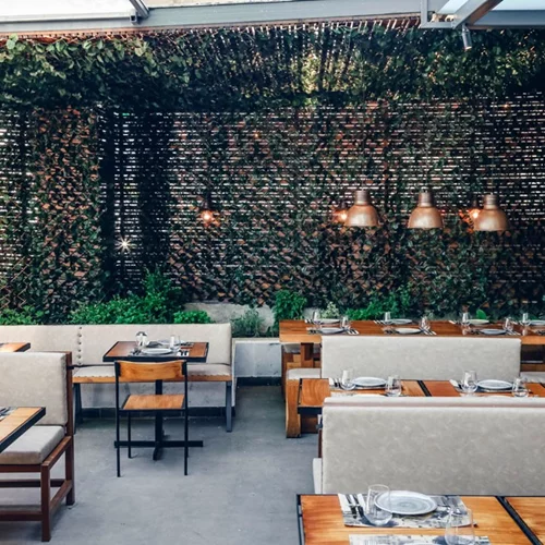 Νέο Frankie στην Ερυθραία: Μια ενδιαφέρουσα άφιξη για την καινούργια σεζόν