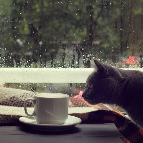 10+3 πράγματα που μπορείς να κάνεις στο σπίτι μια βροχερή μέρα