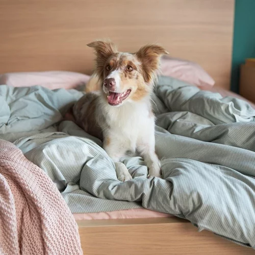 Σ’ ένα σπίτι ΙΚΕΑ ζεις πιο πολλά απ’ όσα φαντάζεσαι