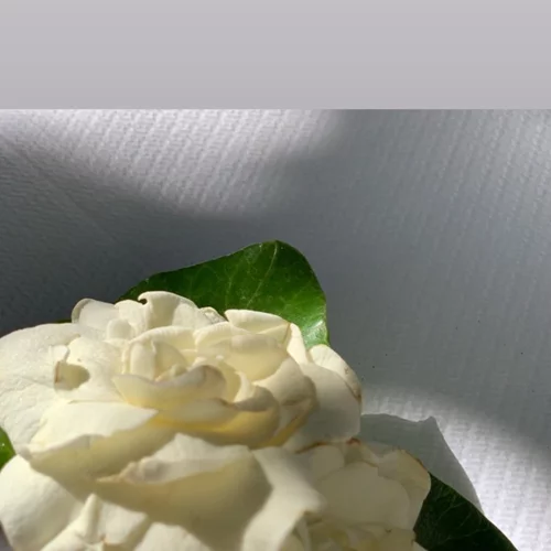 Η Κατερίνα Καινούργιου σε βάφτιση | Δες το look της! (pics)