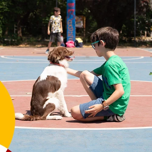 Πώς μπορεί ένας σκύλος να αλλάξει μια ζωή;