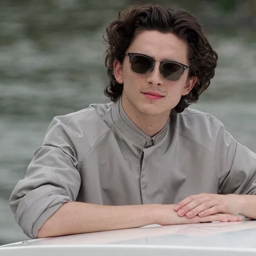 O Timothée Chalamet θα υποδυθεί τον Bob Dylan