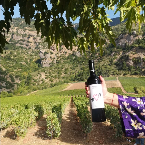 Πήγαμε για wine tasting στα Καλάβρυτα με την Lidl Ελλάς