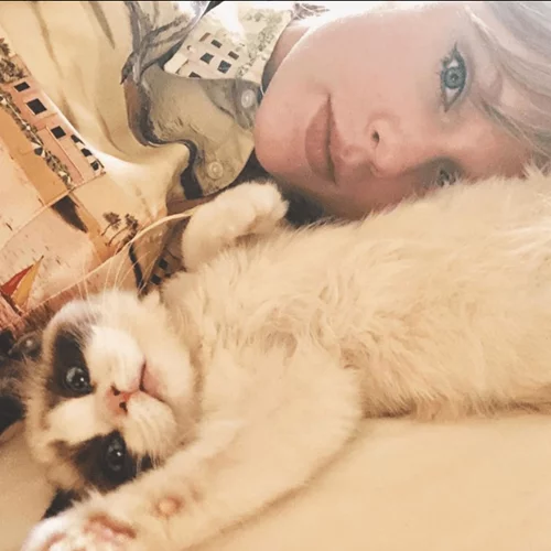 Η Taylor Swift έχει τις πιο διάσημες γάτες του Instagram