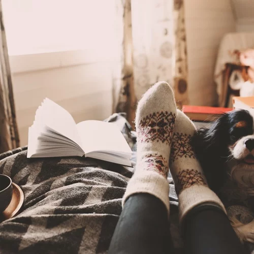 Αφροδίτη στον Αιγόκερω από 26 Νοεμβρίου έως 19 Δεκεμβρίου | Πώς επηρεάζονται όλα τα ζώδια