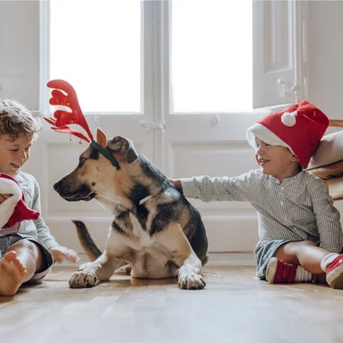 Χριστούγεννα με τα παιδιά στην Αθήνα | Οι καλύτερες ιδέες για θέατρο και βόλτες
