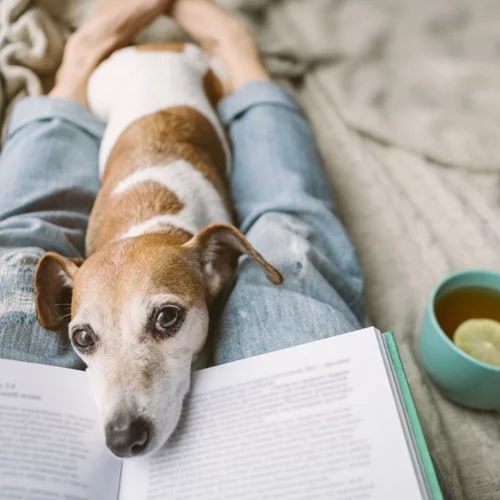 4 συγγραφείς best sellers επιστρέφουν με νέες περιπέτειες