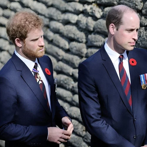 Η πρώτη κοινή δήλωση των Harry και William μετά το Megxit