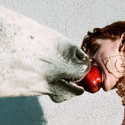 Η αναπάντεχη καμπάνια του οίκου Gucci μέσα από τη ματιά του Γιώργου Λάνθιμου