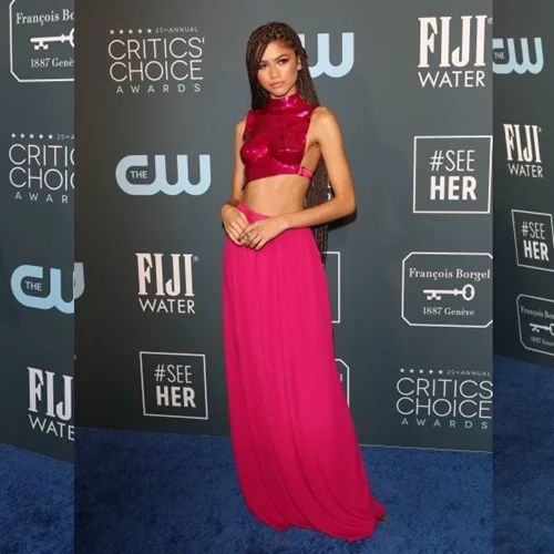 Critics' Choice Awards 2020 | Οι εμφανίσεις των stars στο «μπλε χαλί»