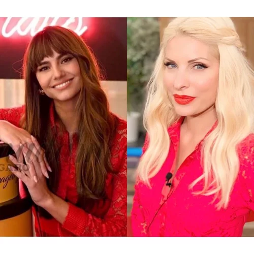 Ηλιάνα Παπαγεωργίου και Ελένη Μενεγάκη με το ίδιο σχεδόν φόρεμα