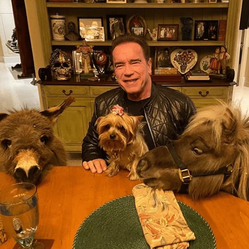 Viral | Ο Arnold Schwarzenegger πήγε στο γραφείο με τα κατοικίδιά του