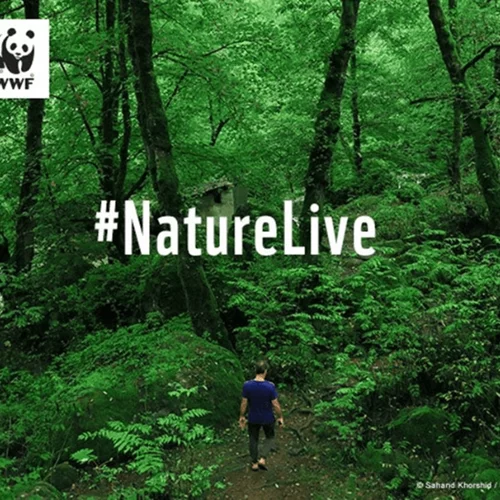 Ο Γιώργος Πυρπασόπουλος μιλάει για την Παγκόσμια Ημέρα Γης live στο Instagram