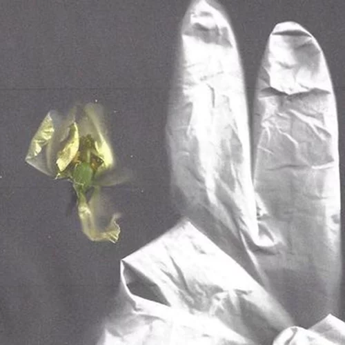 Η αναπάντεχη καμπάνια του oίκου Gucci | Γάντια μιας χρήσης και λουλούδια τα σύμβολα της ζωής