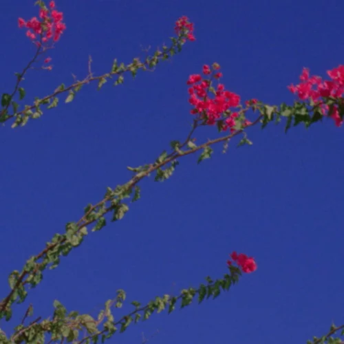 Ο οίκος Chanel θα παρουσιάσει το πρώτο του virtual fashion show