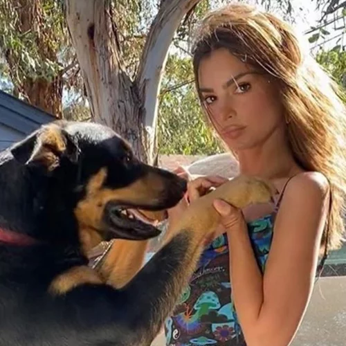 Tα κορίτσια της μόδας λατρεύουν αυτό το στιλ φορέματος και επενδύουν σε ένα συγκεκριμένο brand