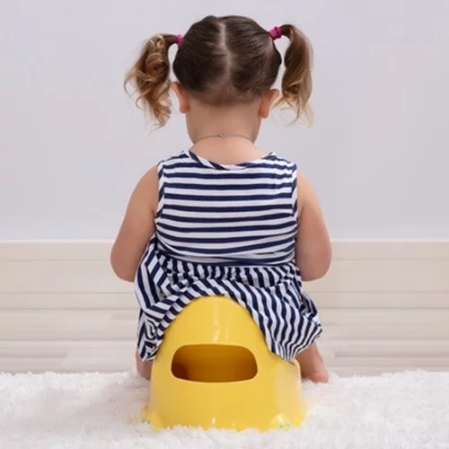 Πώς το παιδί θα μάθει να χρησιμοποιεί την τουαλέτα