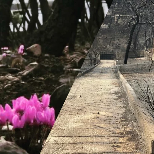 2 χρόνια από τη φονική φωτιά στο Μάτι | Τι δημοσίευσαν οι Έλληνες celebrities;