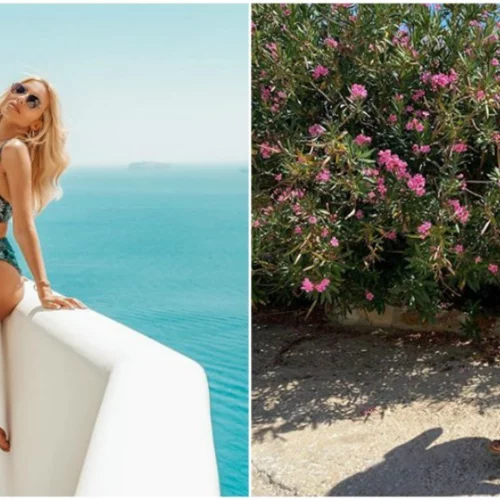 Tο αμφιλεγόμενο trend στα μαγιό που επιλέγουν οι Ελληνίδες celebrities