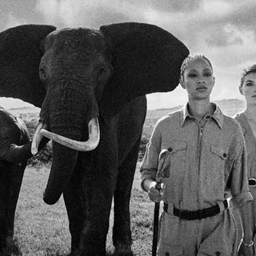 Walk For Giants | Η capsule συλλογή που βάζει σκοπό να σώσει τους ελέφαντες