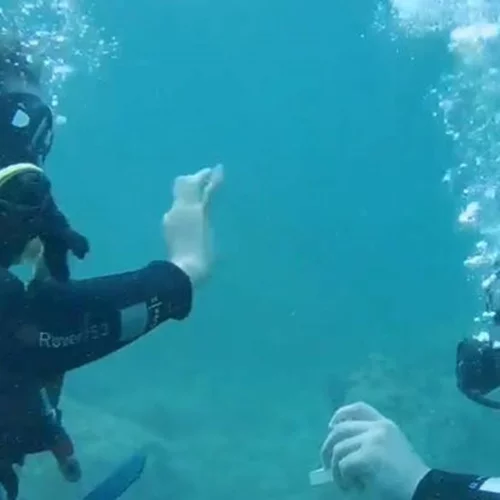 Υποβρύχια πρόταση γάμου στην Αλόννησο