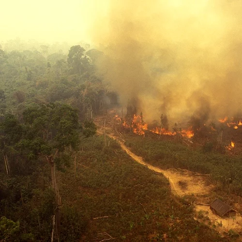 Αυξημένος o κίνδυνος εκδήλωσης πυρκαγιάς σήμερα λόγω των ενισχυμένων βοριάδων, σύμφωνα με το meteo του Αστεροσκοπείου