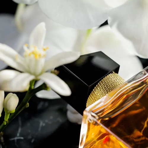 Αναζητούμε τα πιο τέλεια φθινοπωρινά αρώματα: Ο οίκος YSL Beauty λανσάρει το Libre Eau de Parfum Intense