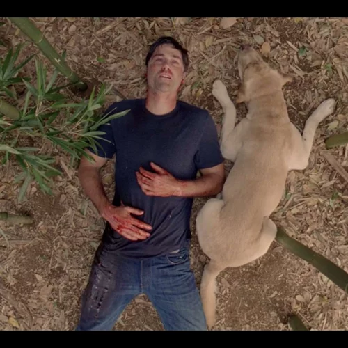 5 από τα πιο αμφιλεγόμενα τηλεοπτικά φινάλε