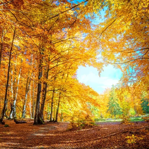 Ανάδρομος Ερμής έως τις 27 Οκτωβρίου | Αυτά τα ζώδια θα επηρεαστούν περισσότερο