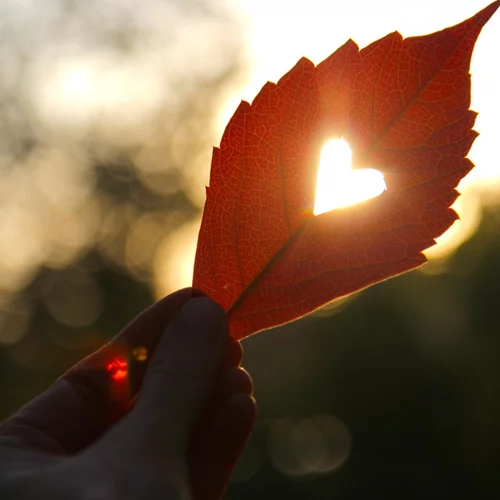 Οι αισθηματικές προβλέψεις των ζωδίων για τον Οκτώβριο 2020 | Έρωτες από το παρελθόν