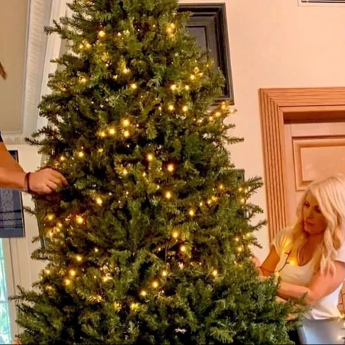 Ελένη Μενεγάκη - Ματέο Παντζόπουλος | Στολίζουν μαζί το δέντρο του σπιτιού τους