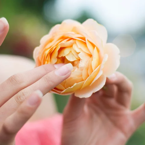 Έχεις θαμπά και αδύναμα νύχια; Ένα προϊόν που δεν φανταζόσουν ότι μπορεί να τα βοηθήσει