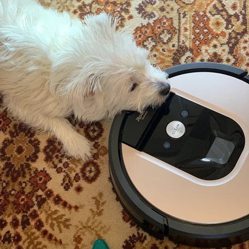 Η ζωή μου με την iRobot