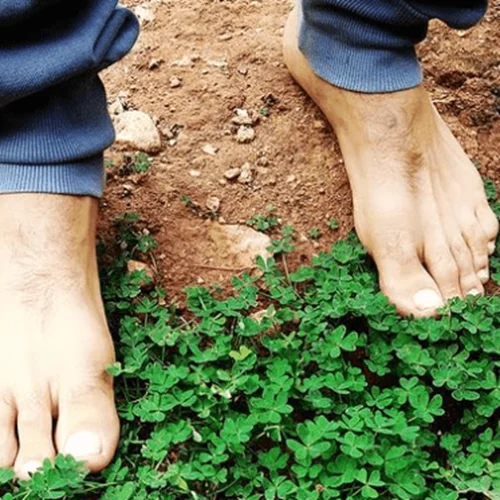 Ο Θανάσης Ευθυμιάδης επέστρεψε δυναμικά στο Instagram | Η νέα viral ανάρτηση