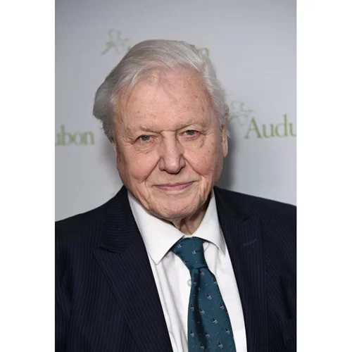 Sir David Attenborough | Το πρωτοχρονιάτικο μήνυμά του για το περιβάλλον