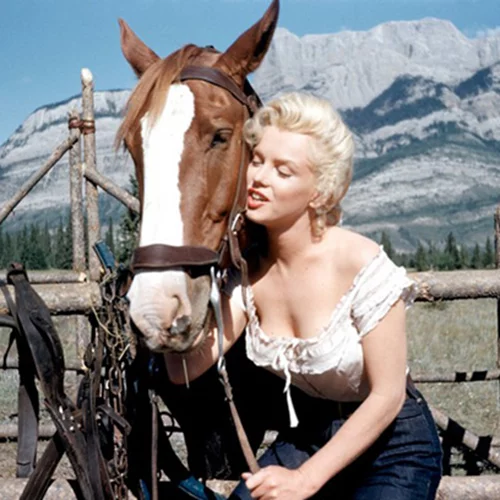 Η προφητική λατινική επιγραφή στο πλακόστρωτο του τελευταίου σπιτιού της Marylin Monroe