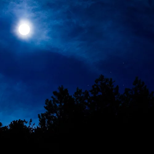 Πανσέληνος στο Λέοντα στις 5/2/2023. Ποια είναι τα 4 ζώδια που θα κάνουν αιφνιδιαστικές αλλαγές και πως θα επηρεαστούν τα υπόλοιπα;