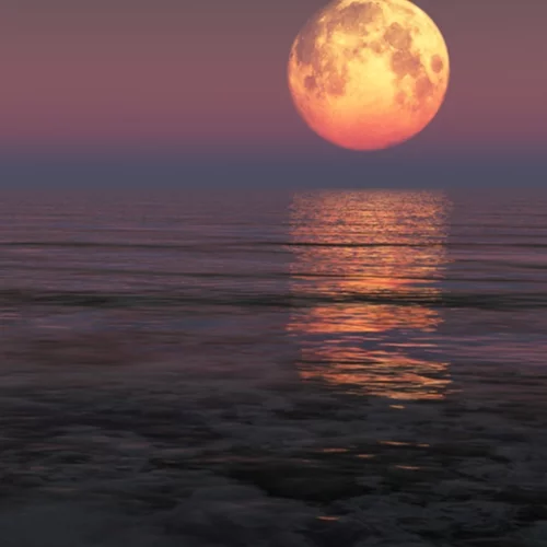 Πανσέληνος στους Ιχθύες στις 10 Σεπτεμβρίου. Ποια ζώδια ευνοούνται και σε ποιους τομείς;