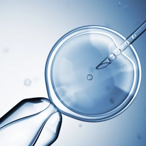 Αρ. Πελώνη: "Εμείς είμαστε έτοιμοι και γίνονται τεστ προσομοίωσης σε επίπεδο ΕΕ" για το ψηφιακό πιστοποιητικό covid