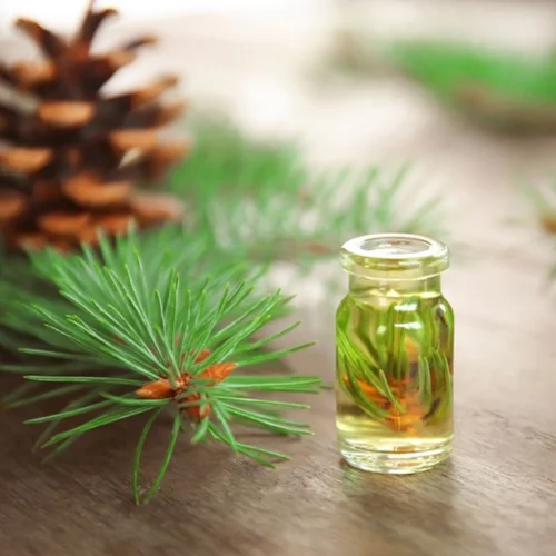 7 τροφές που μπορούν να ελέγξουν την όρεξή σου