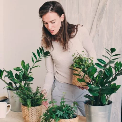 To #1 που χρειάζεσαι στο σπίτι για καλύτερη υγεία και ευεξία