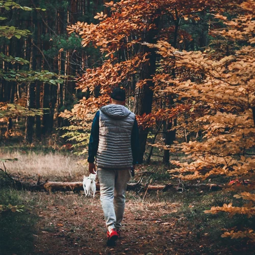 Τα ζώδια σήμερα 15/11 | Ημερήσιες προβλέψεις για κάθε ζώδιo