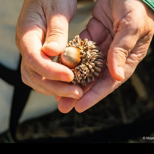 " Ώρα Της Γης 2023": Η μεγαλύτερη ώρα για τη Γη