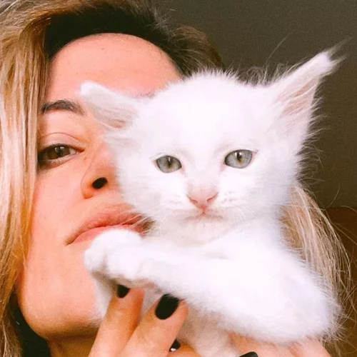 Γάτες και εγκυμοσύνη: Οι συμβουλές της Μαίρης Συνατσάκη από την εμπειρία της