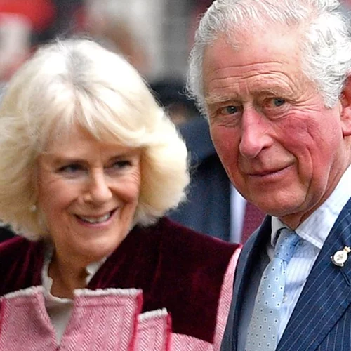 Βρετανία | Τρόμος στον αέρα για τη βασίλισσα Καμίλα - Το αεροπλάνο της συγκρούστηκε με πουλί [εικόνες, βίντεο]