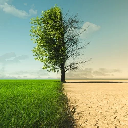 Οι απότομες αλλαγές από ξηρασία σε έντονες βροχοπτώσεις είναι αποτέλεσμα της κλιματικής αλλαγής