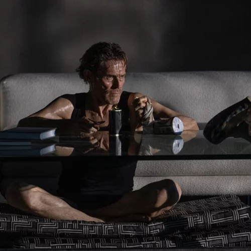 Ταινίες Πρώτης Προβολής: Θρίλερ, σάτιρα και ιστορίες για... αρκούδες