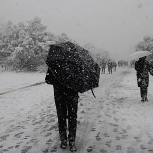 Γιάννης Καλλιάνος | "Η χώρα θα βρεθεί σε συνθήκες ψύχους"