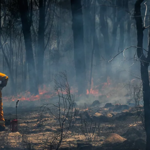 Οι συνθήκες θυμίζουν 2021 με τις φωτιές σε Αττική και Εύβοια - Πολύ υψηλή επικινδυνότητα